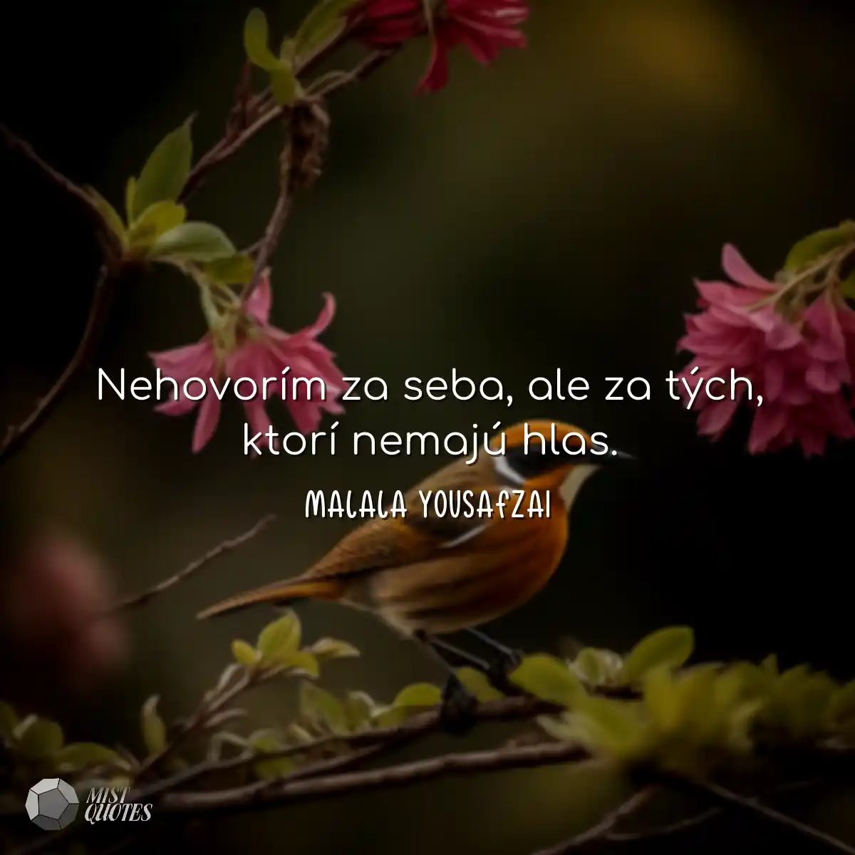 Nehovorím za seba, ale za tých, ktorí