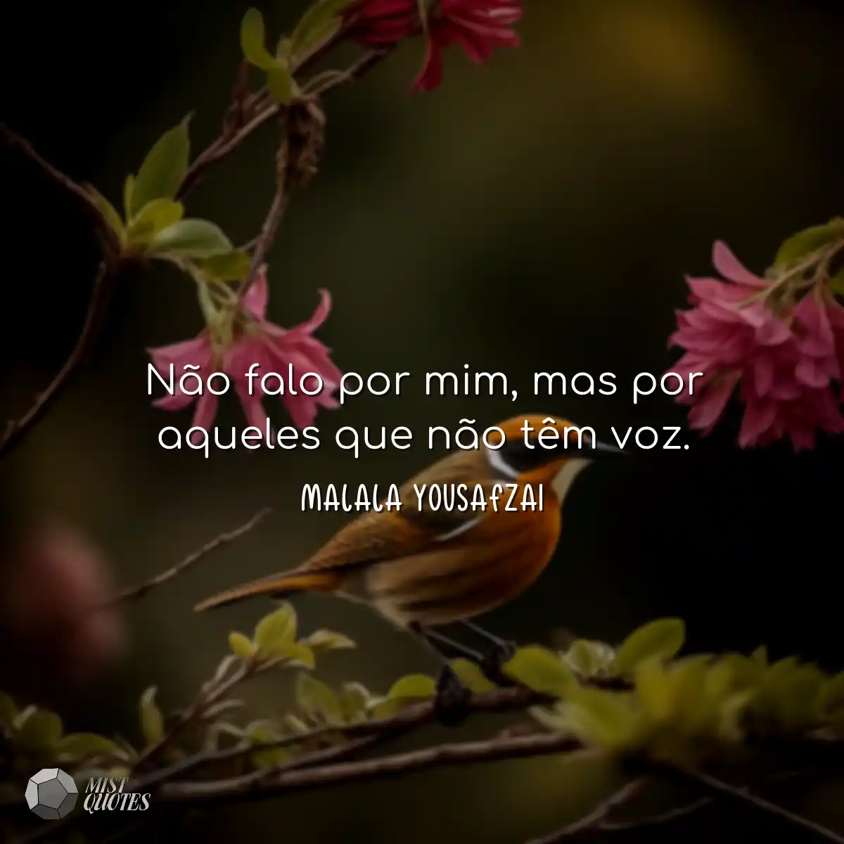 Não falo por mim, mas por aqueles que n