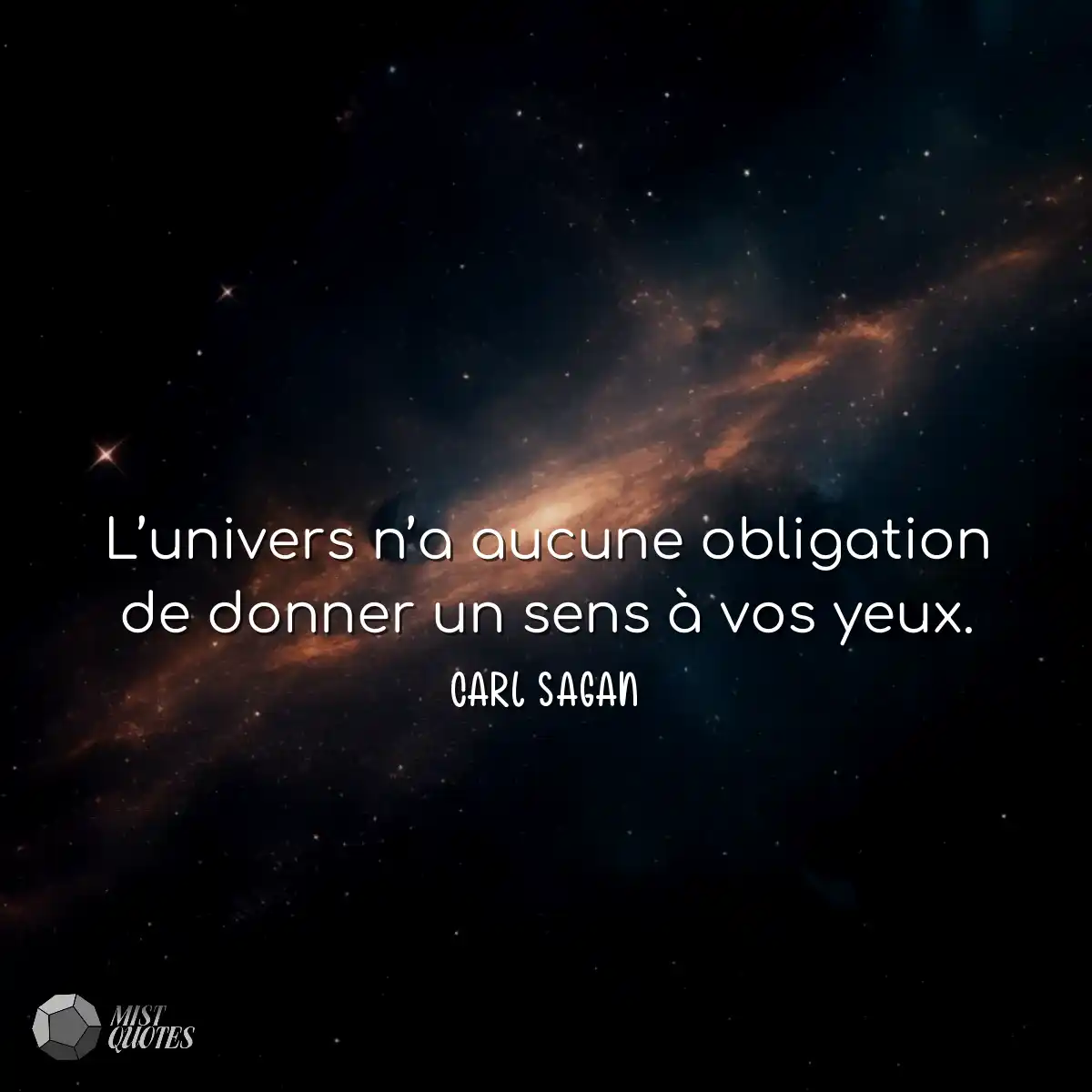 L’univers n’a aucune obligation de donner un sens 