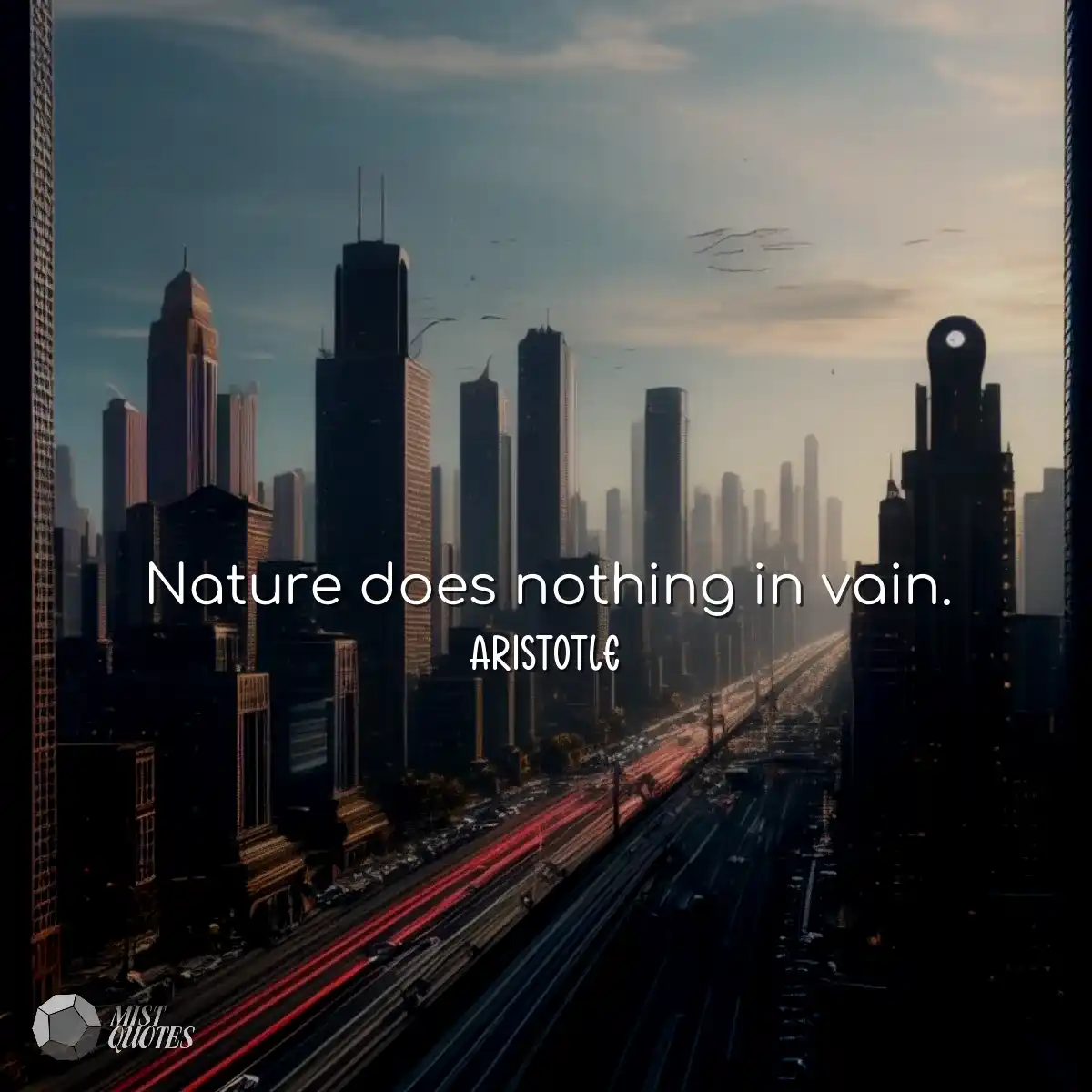 A natureza não faz nada em vão.
