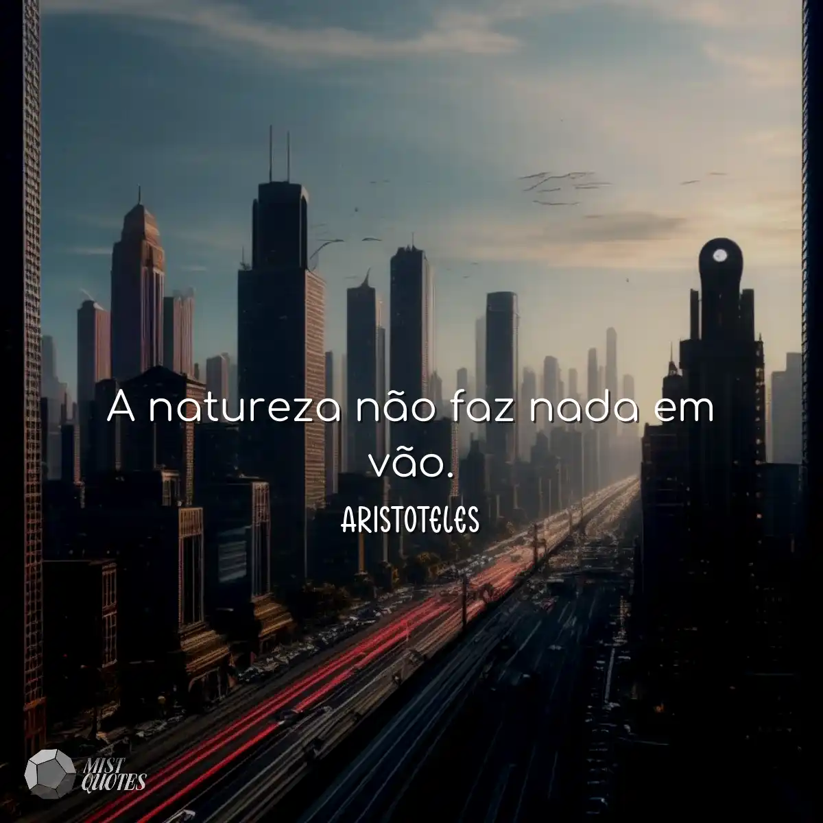 A natureza não faz nada em vão.