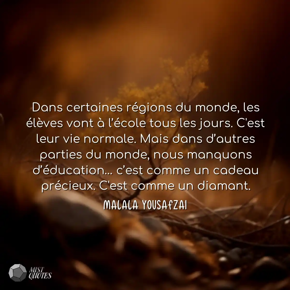 Dans certaines régions du monde, les é