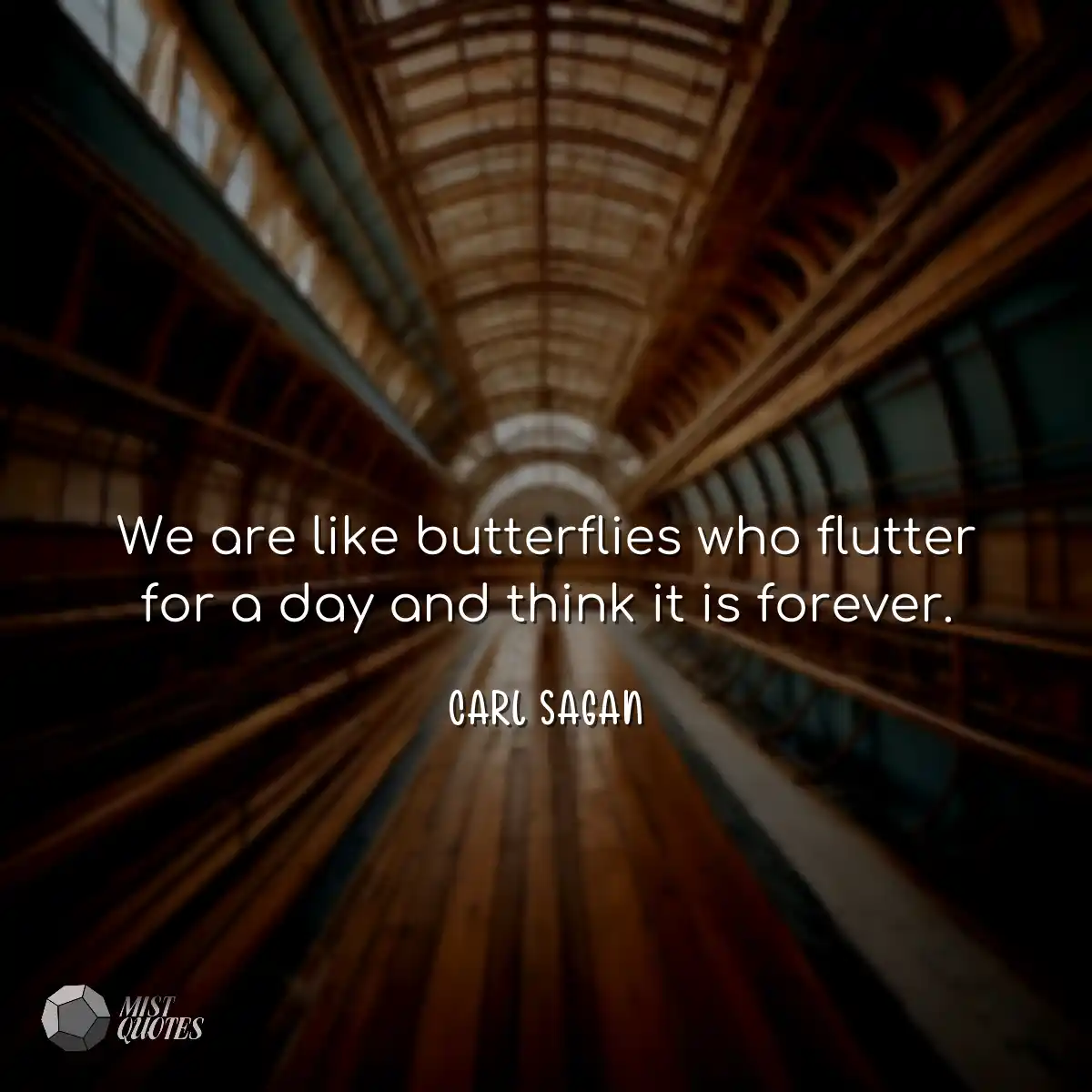 We are like butterflies who flutter for a day and 