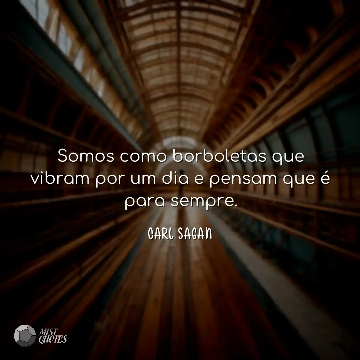 Somos como borboletas que vibram por um dia e pens