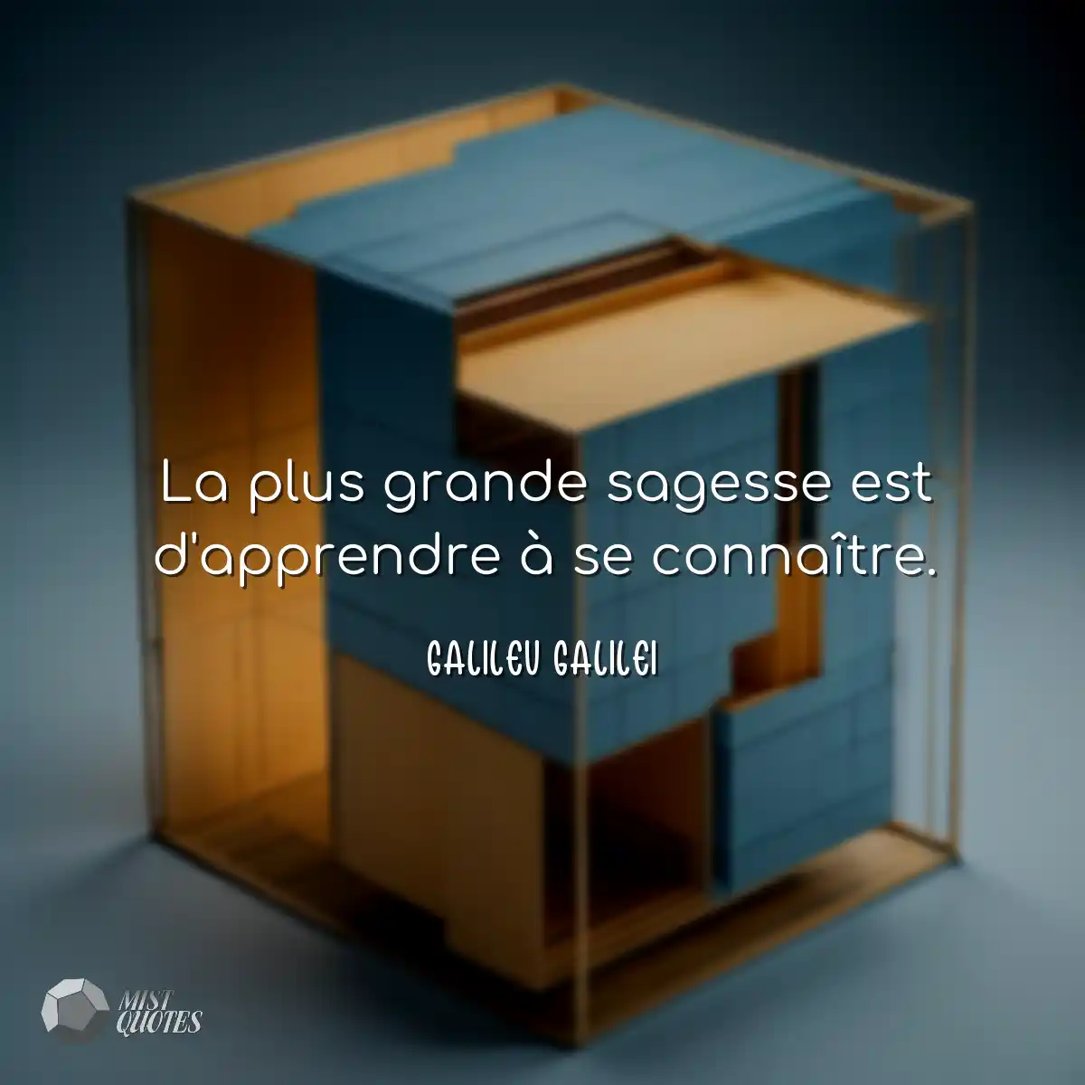 La plus grande sagesse est d'apprendre à se connaî