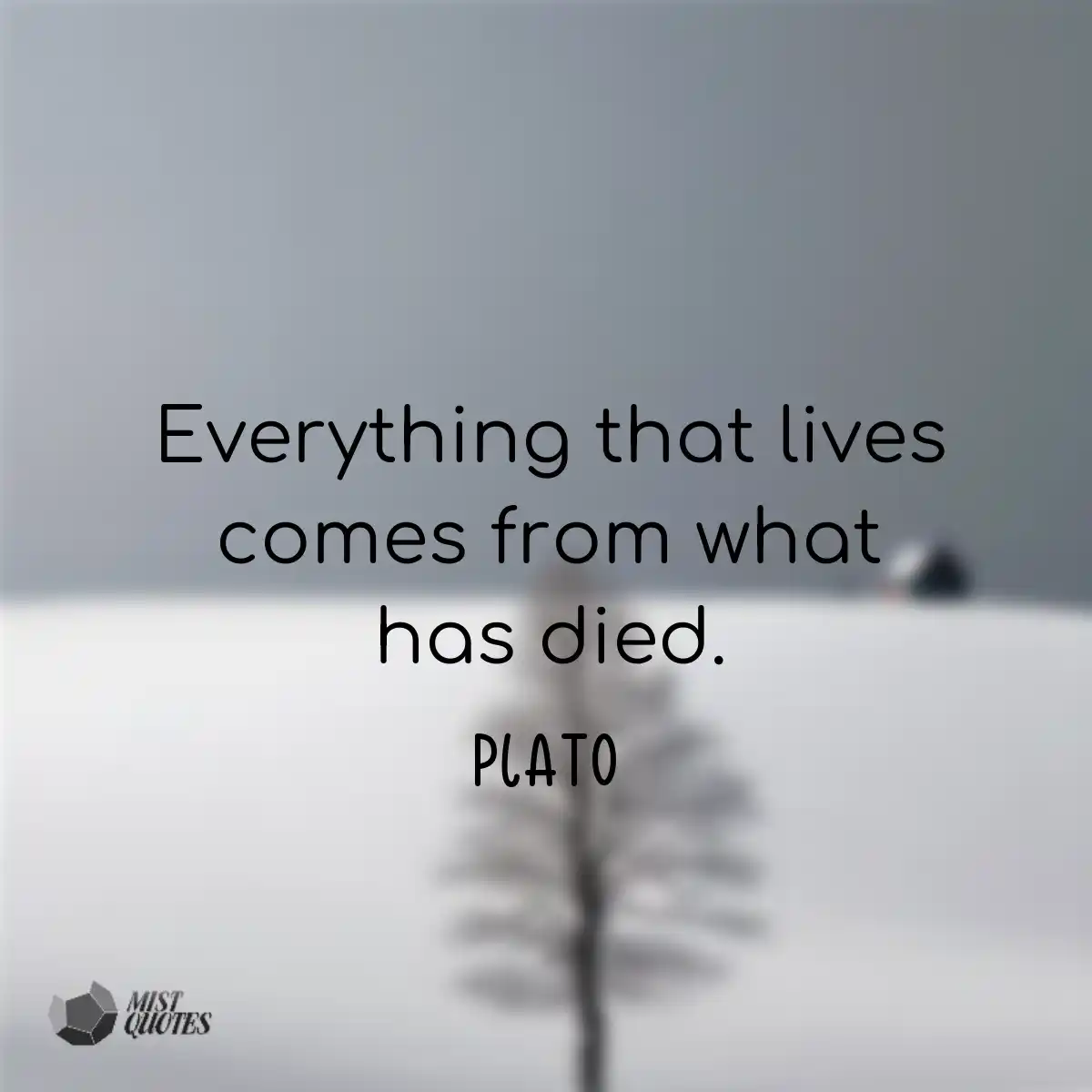 Everything that lives comes from what has died.