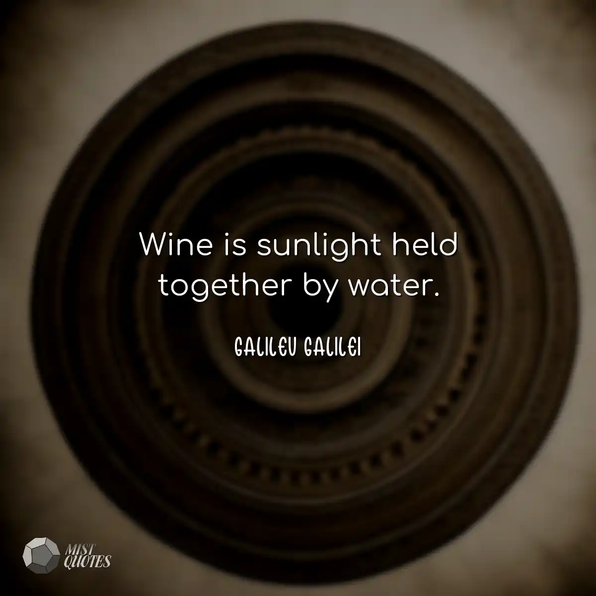 Wine is sunlight held together by water.