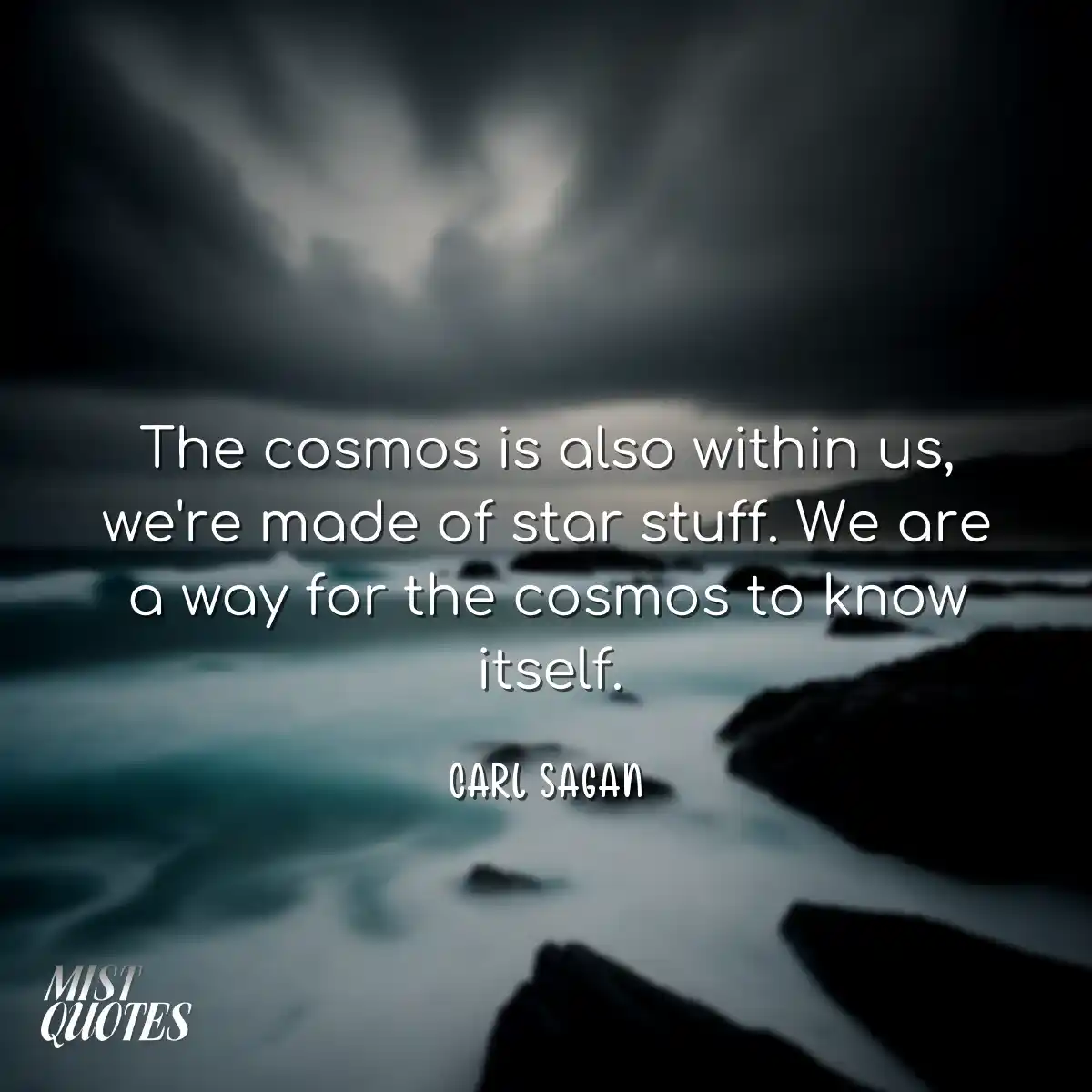 The cosmos is also within us, we're made