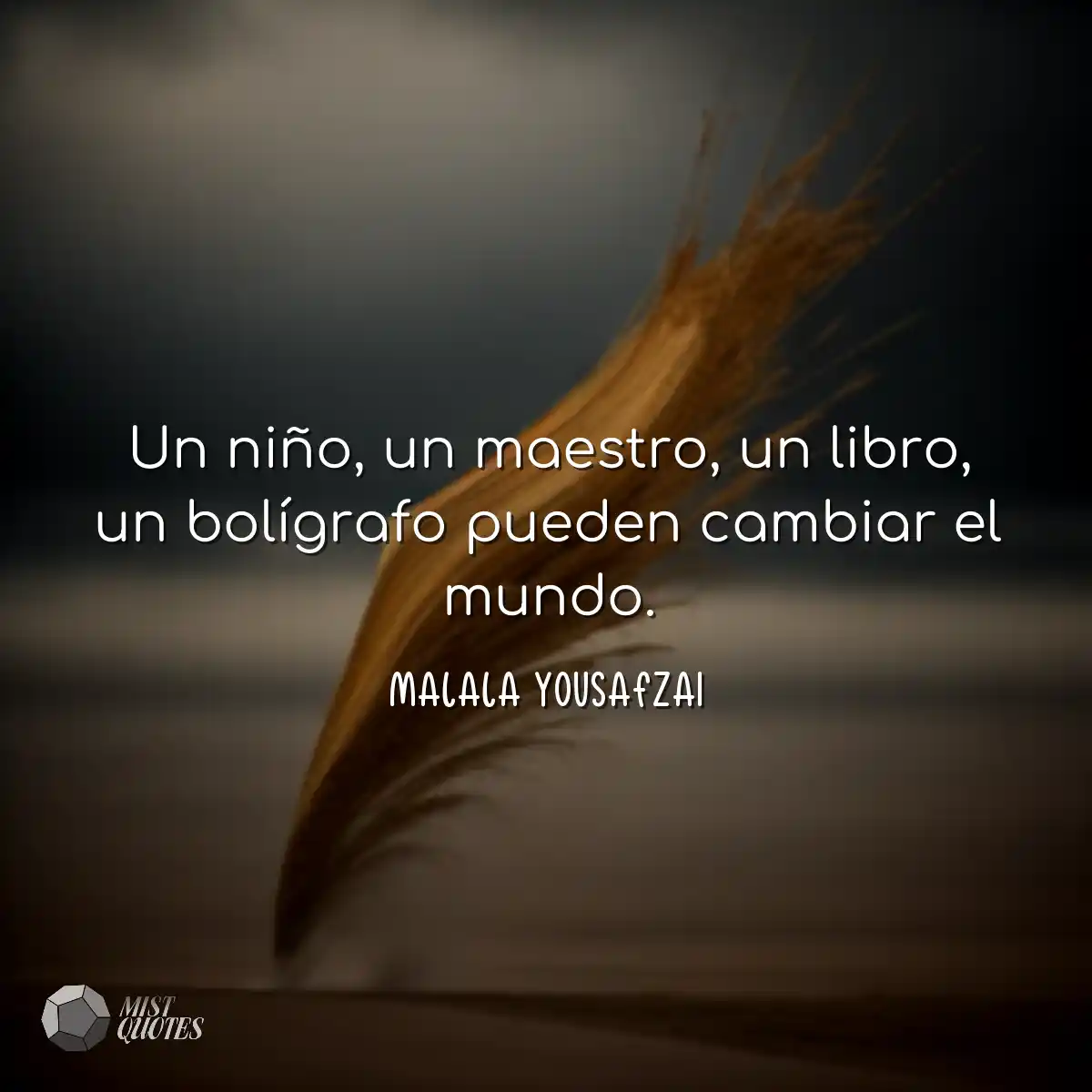 Un niño, un maestro, un libro, un bolí