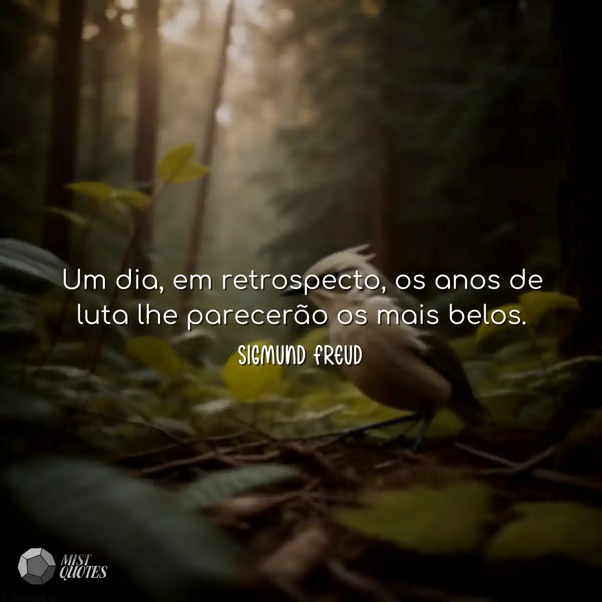 Um dia, em retrospecto, os anos de luta lhe parece