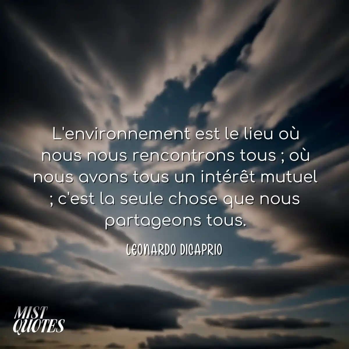 L'environnement est le lieu où nous nou
