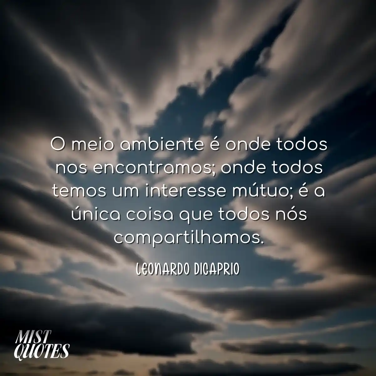 O meio ambiente é onde todos nos encont