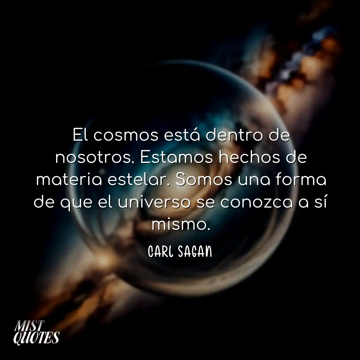 El cosmos está dentro de nosotros. Estamos hechos 