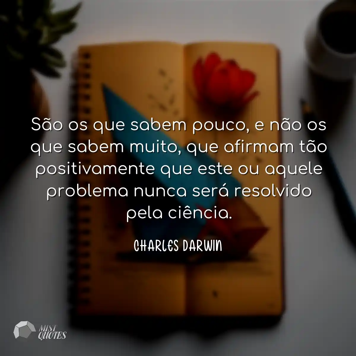 São os que sabem pouco, e não os que s