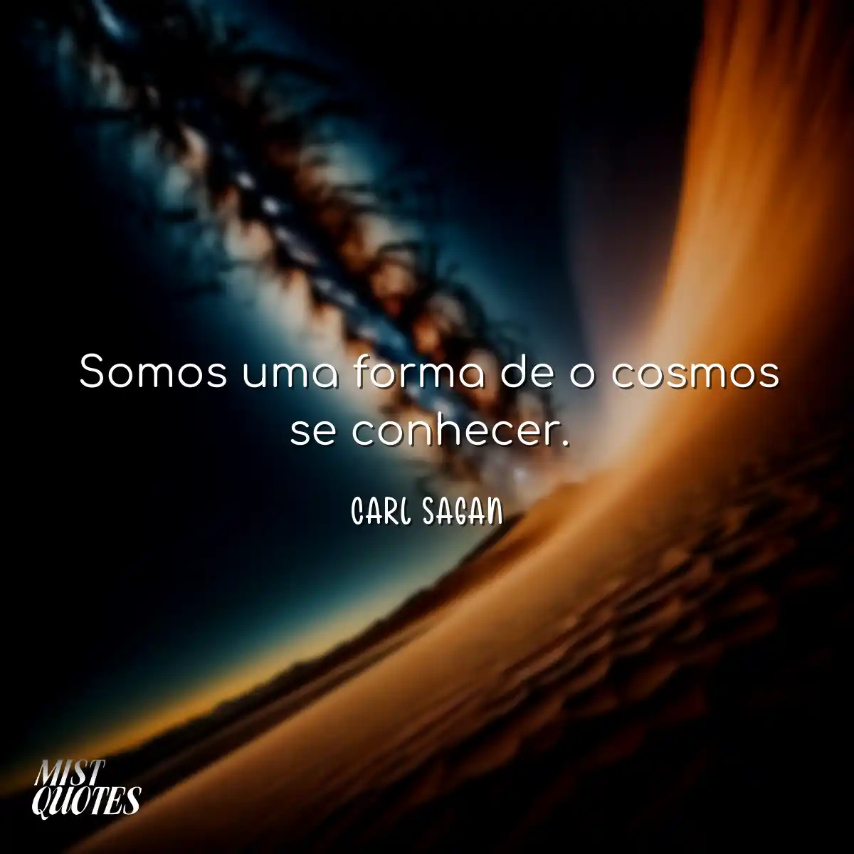 Somos uma forma de o cosmos se conhecer.