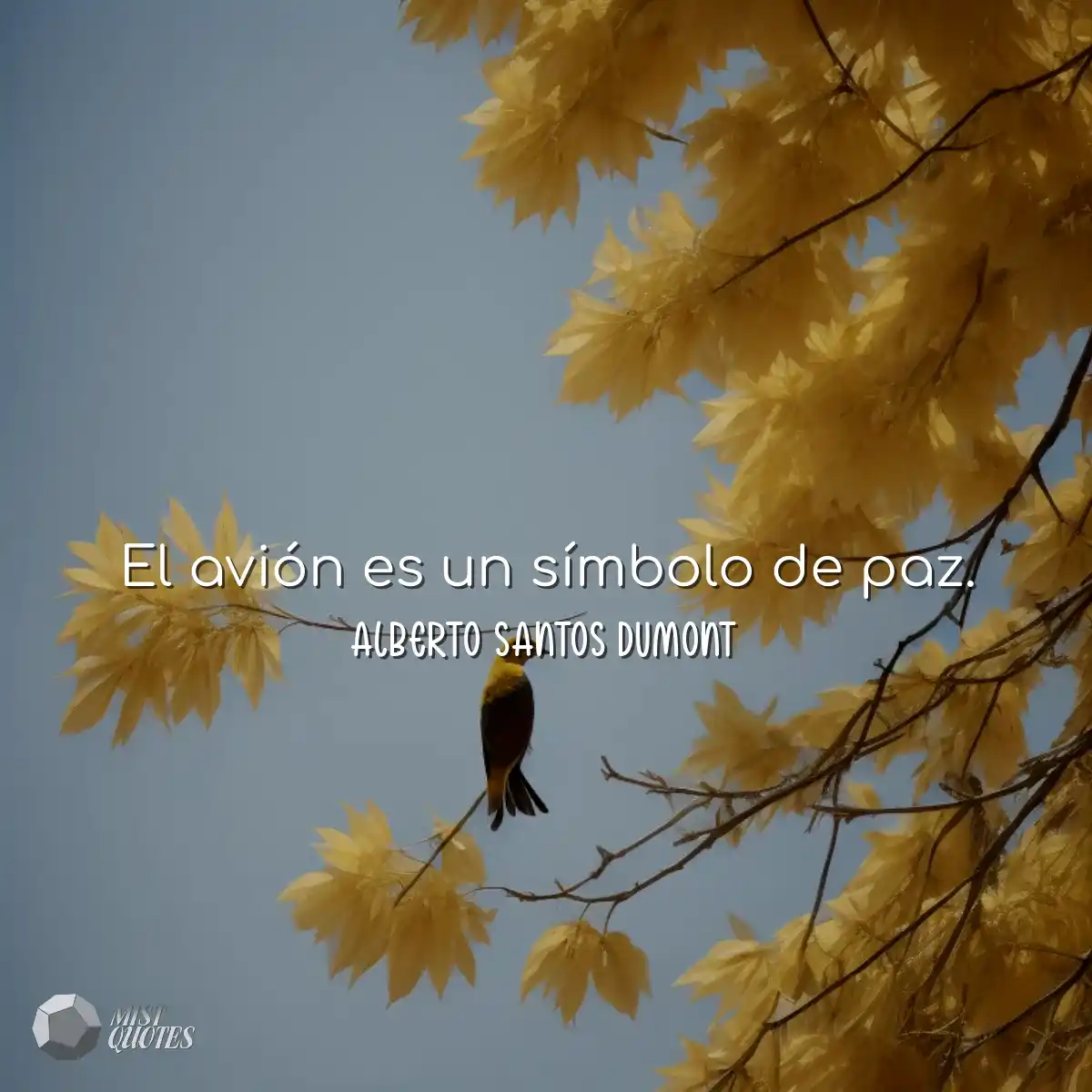 El avión es un símbolo de paz.