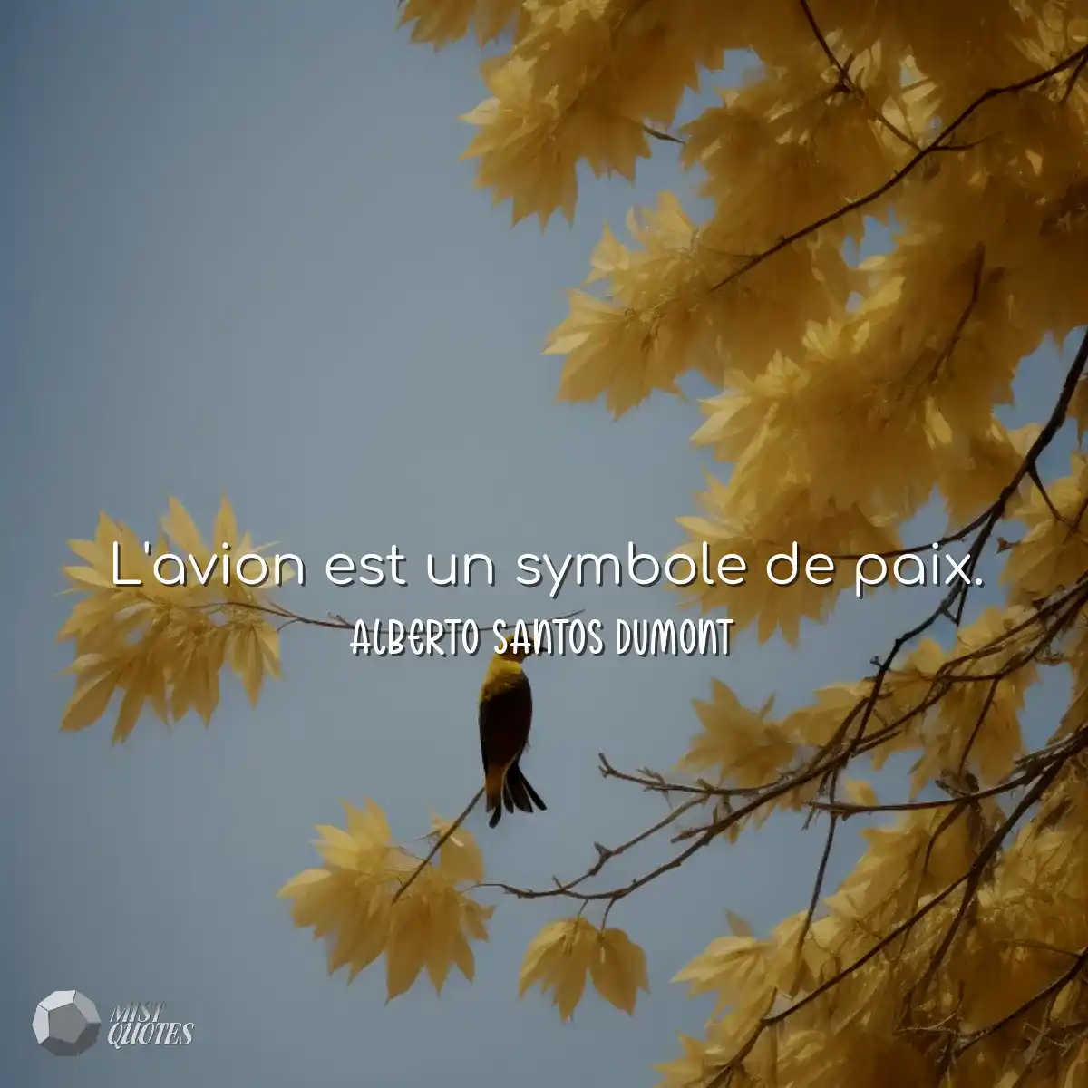 L'avion est un symbole de paix.