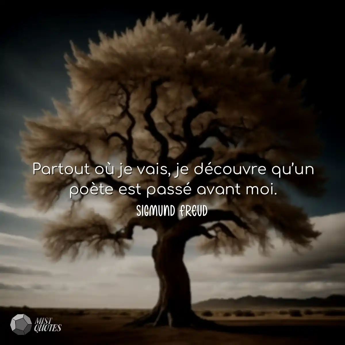 Partout où je vais, je découvre qu’u