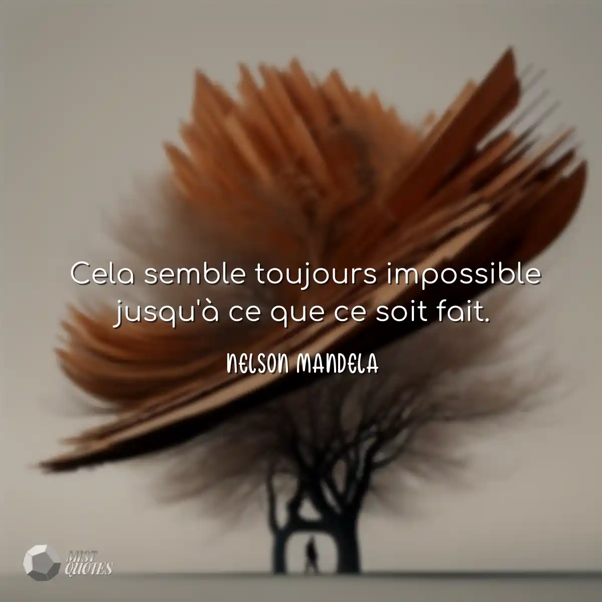 Cela semble toujours impossible jusqu'à ce que ce 