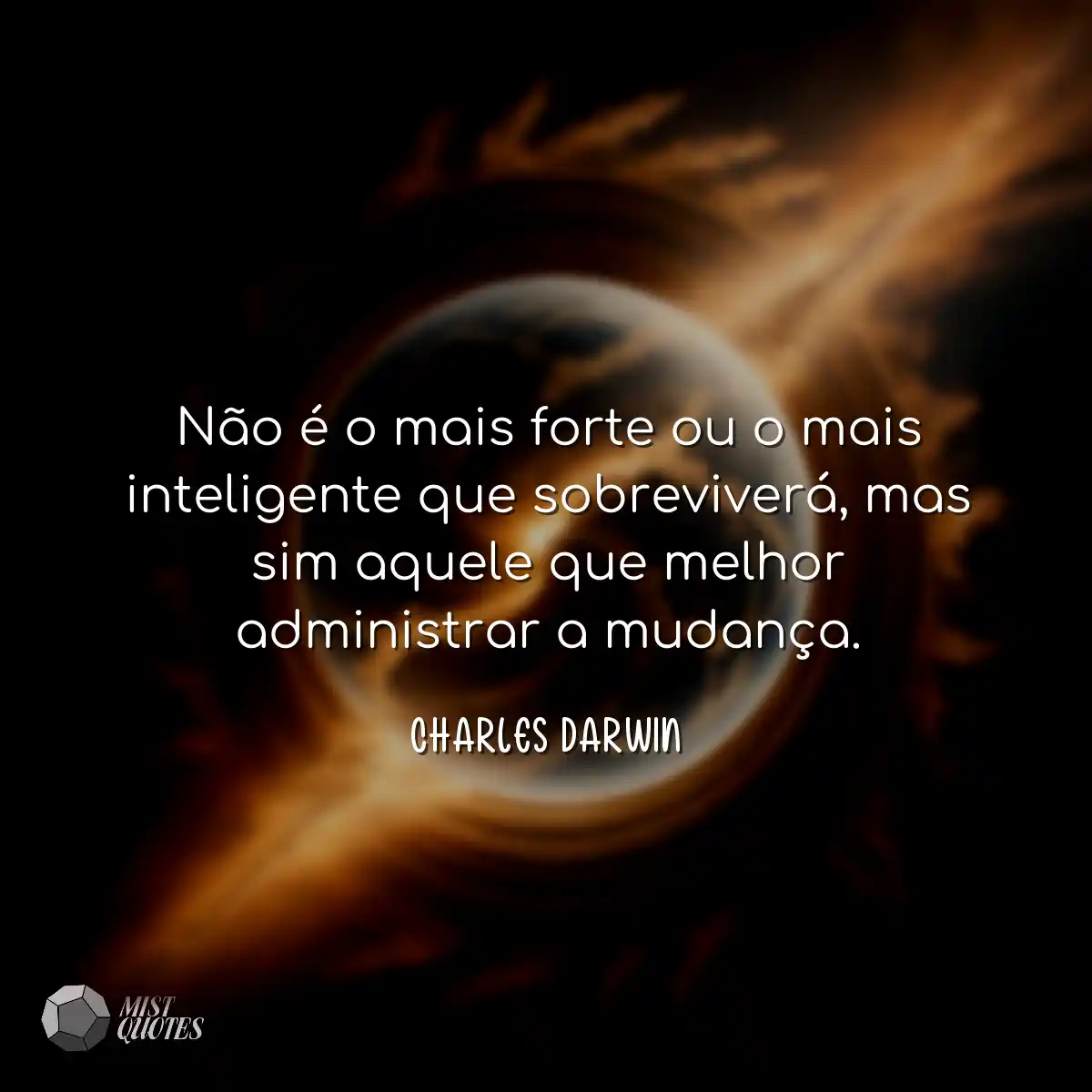 Não é o mais forte ou o mais inteligente que sobre