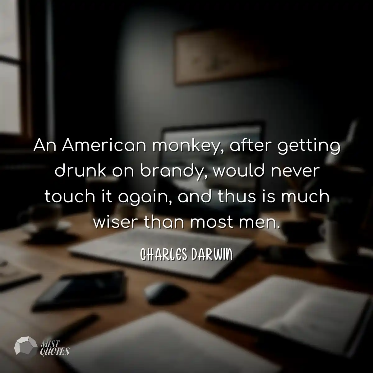 An American monkey, after getting drunk on brandy,
