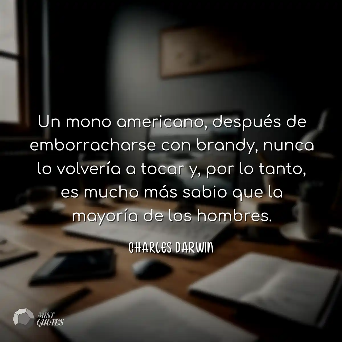 Un mono americano, después de emborracharse con br