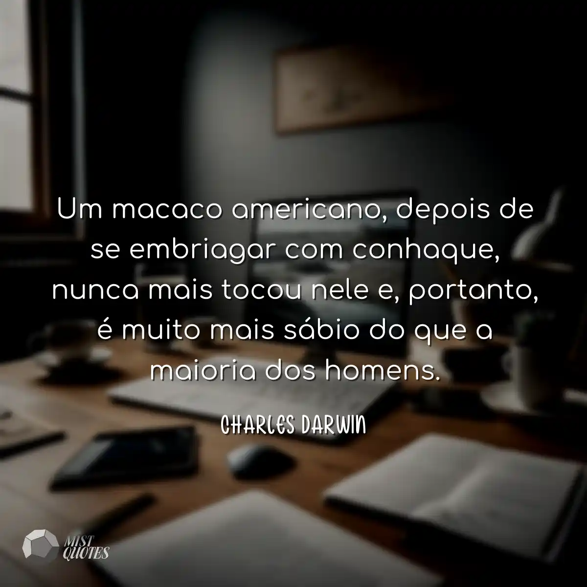 Um macaco americano, depois de se embriagar com co