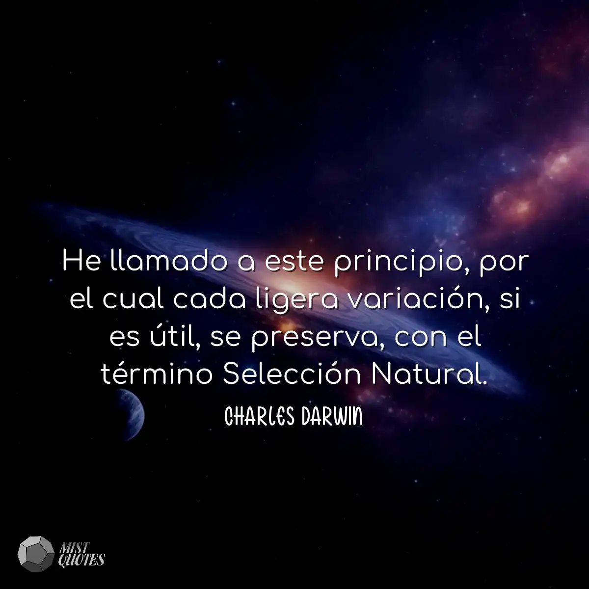 He llamado a este principio, por el cual