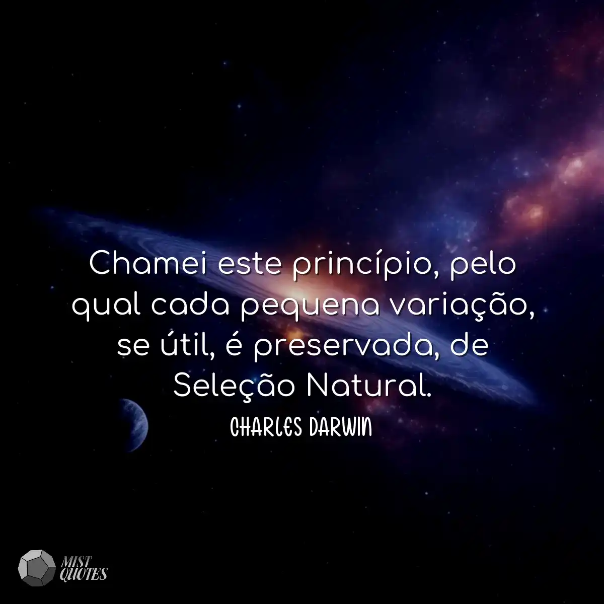 Chamei este princípio, pelo qual cada p