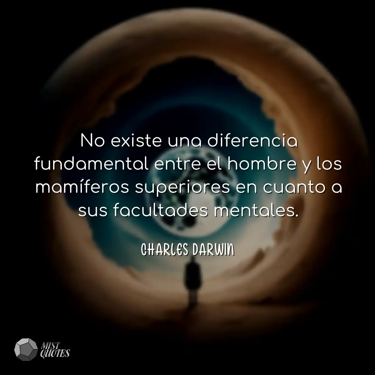 No existe una diferencia fundamental ent