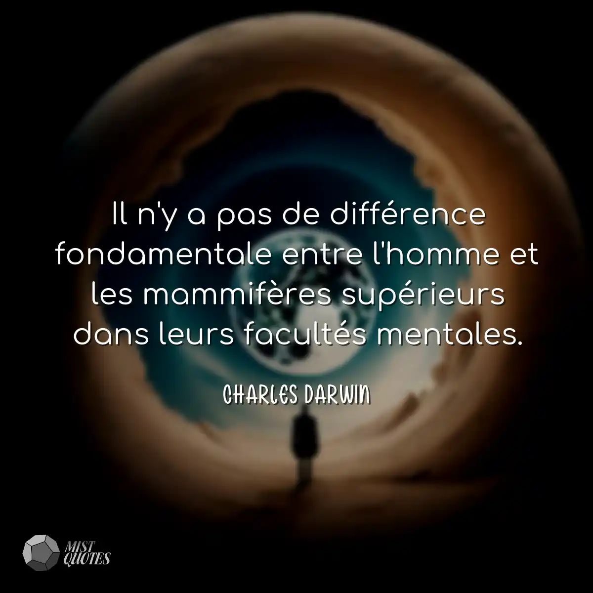 Il n'y a pas de différence fondamentale entre l'ho