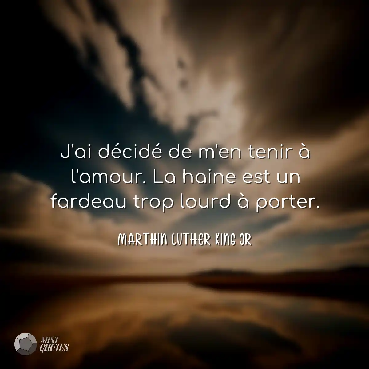 J'ai décidé de m'en tenir à l'amour. La haine est 