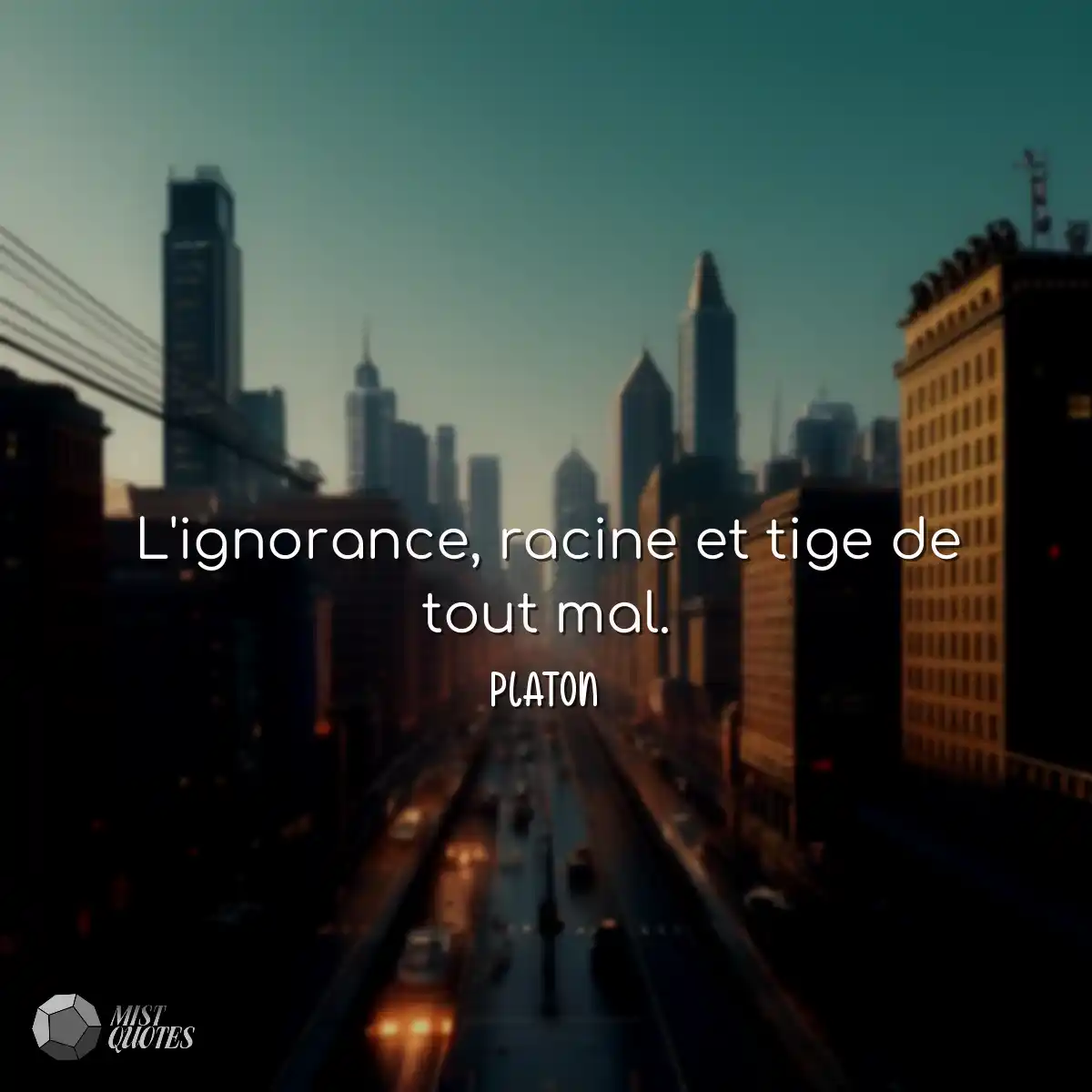 L'ignorance, racine et tige de tout mal.