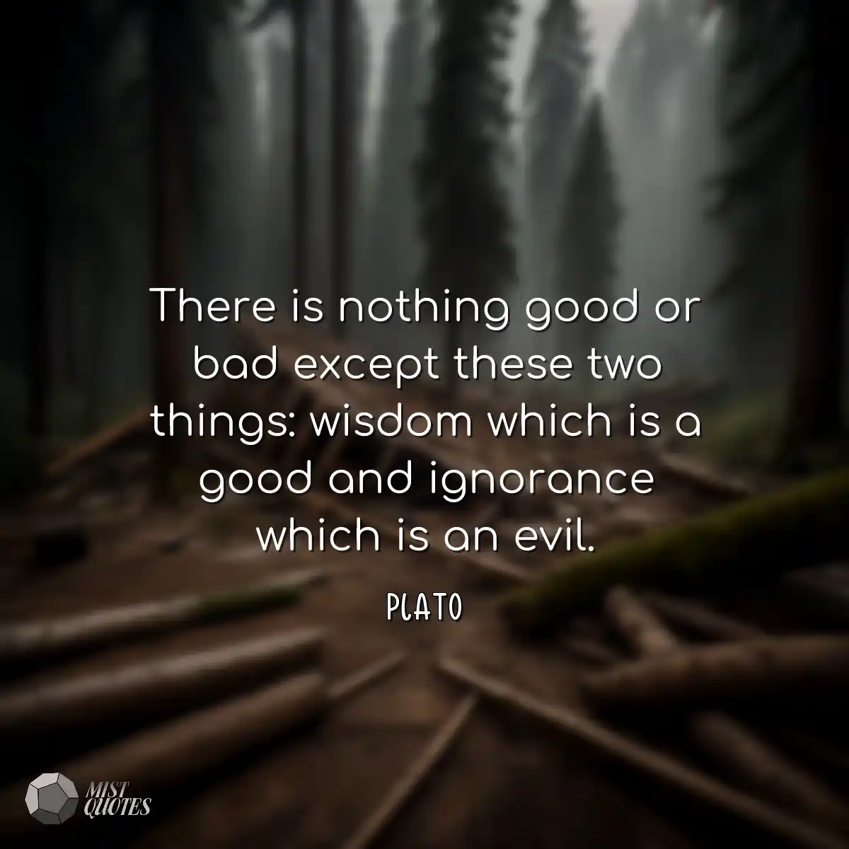 There is nothing good or bad except thes