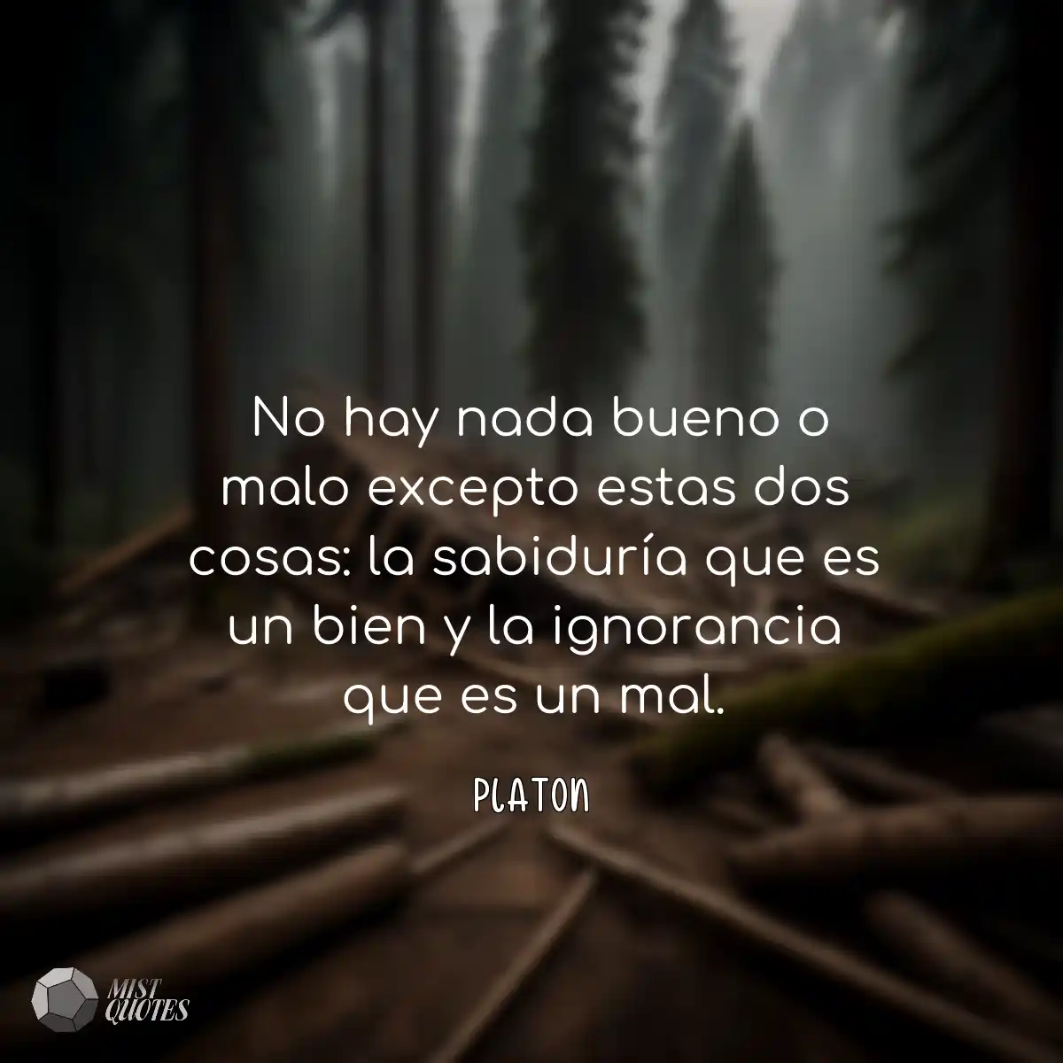  No hay nada bueno o malo excepto estas dos cosas: