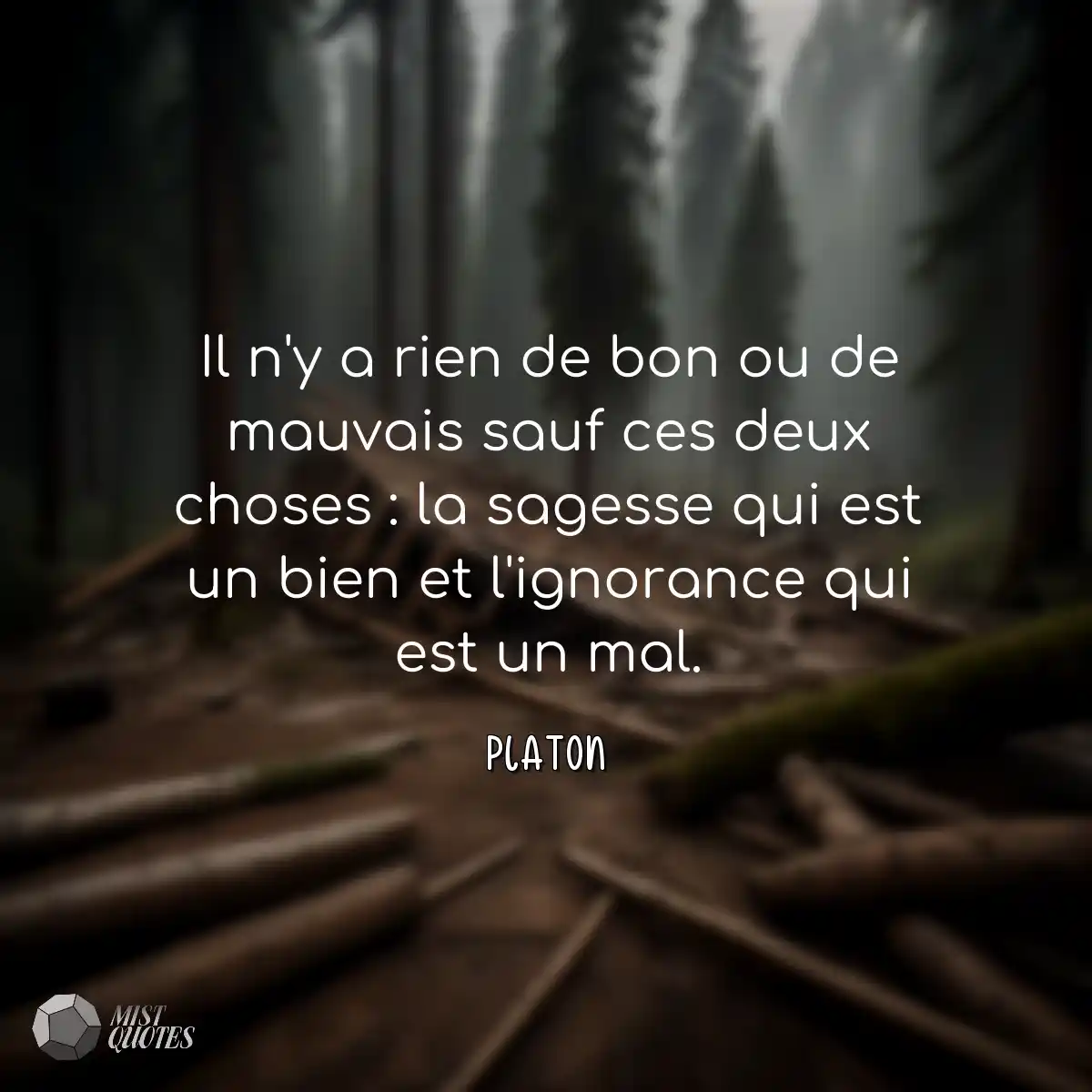 Il n'y a rien de bon ou de mauvais sauf 