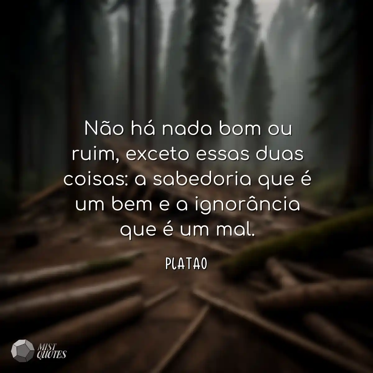 Não há nada bom ou ruim, exceto essas 