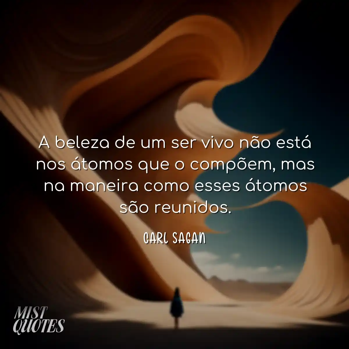 A beleza de um ser vivo não está nos 