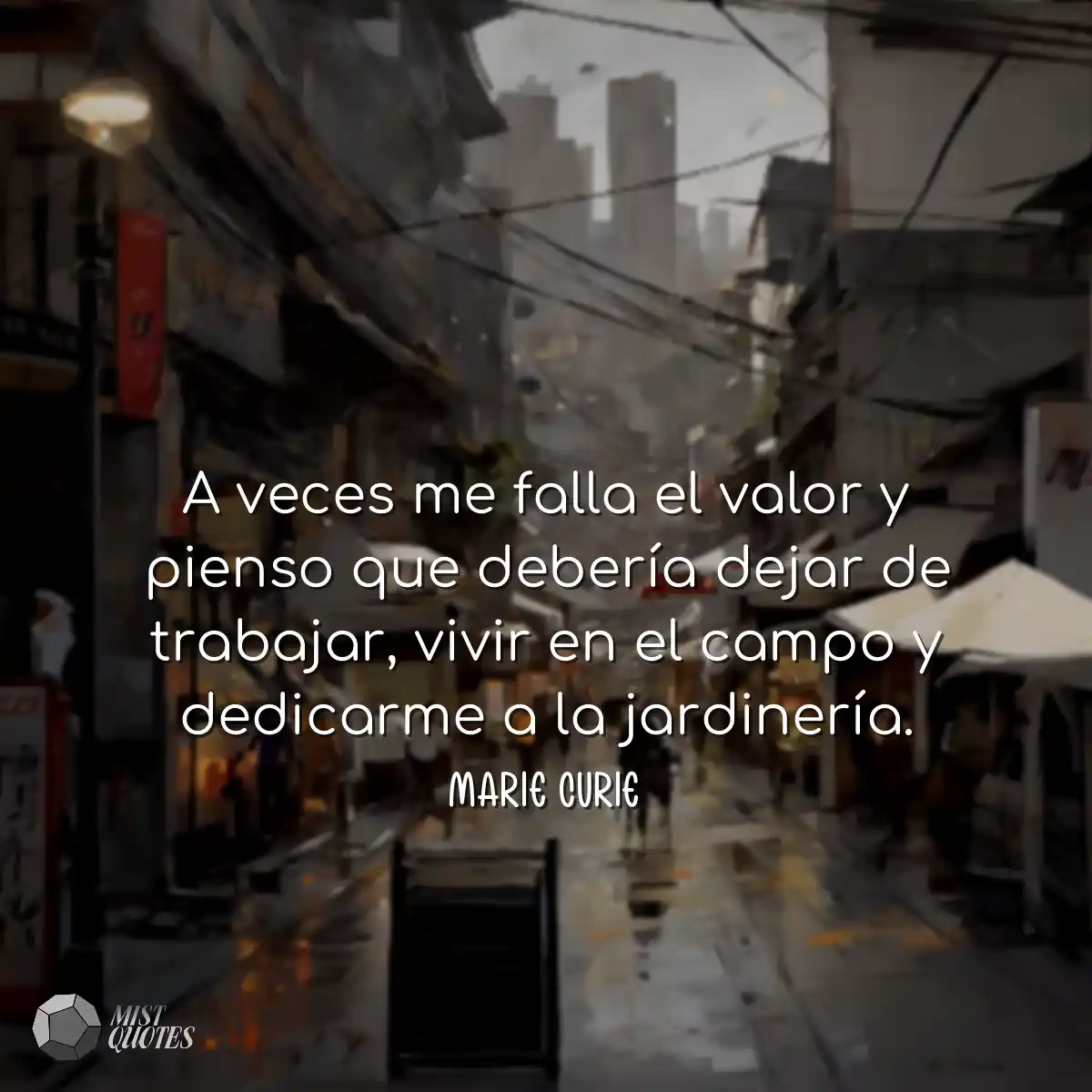 A veces me falla el valor y pienso que debería dej