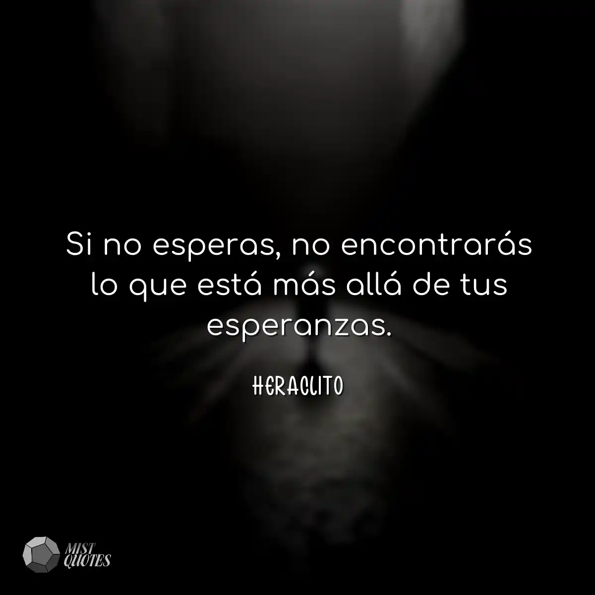 Si no esperas, no encontrarás lo que es