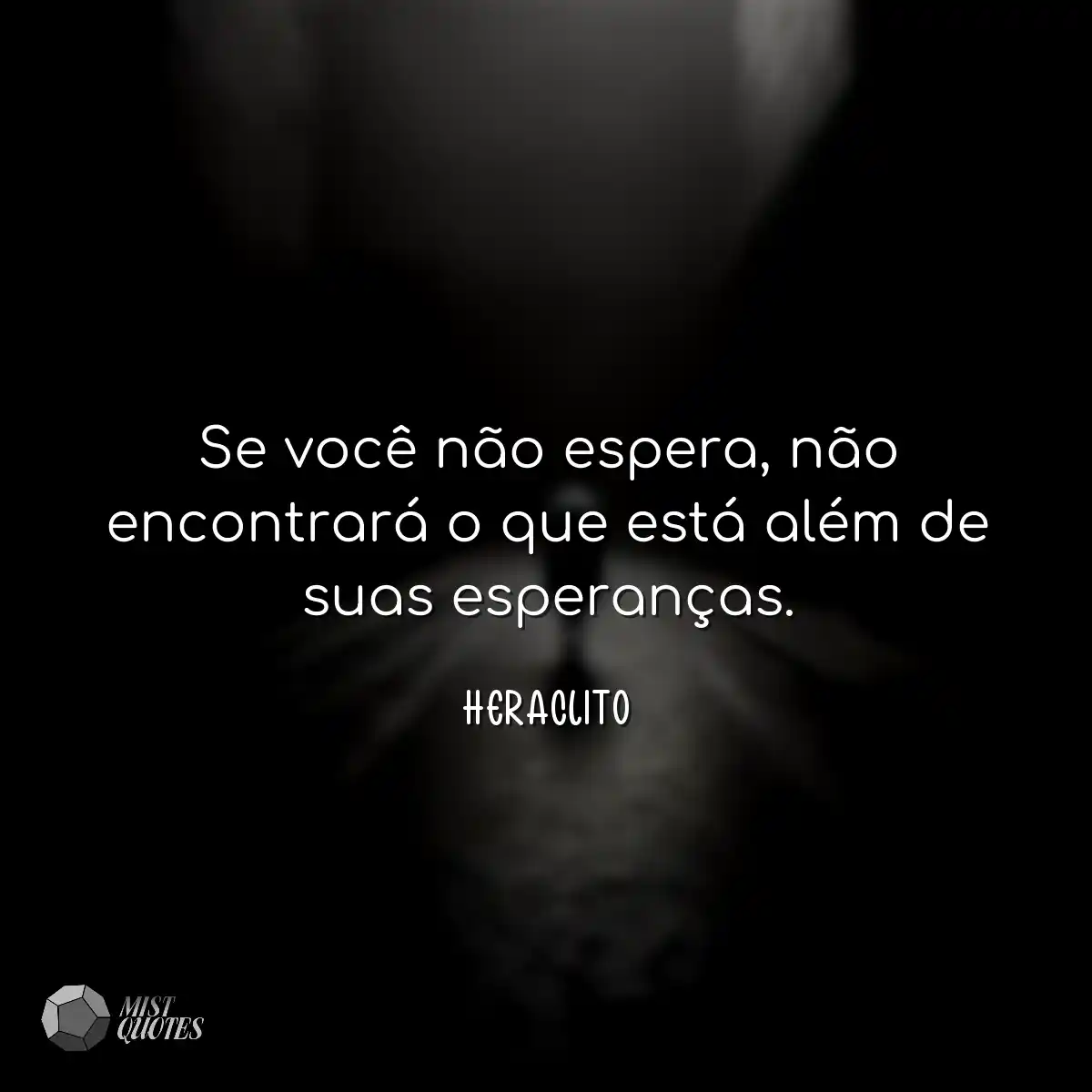 Se você não espera, não encontrará o