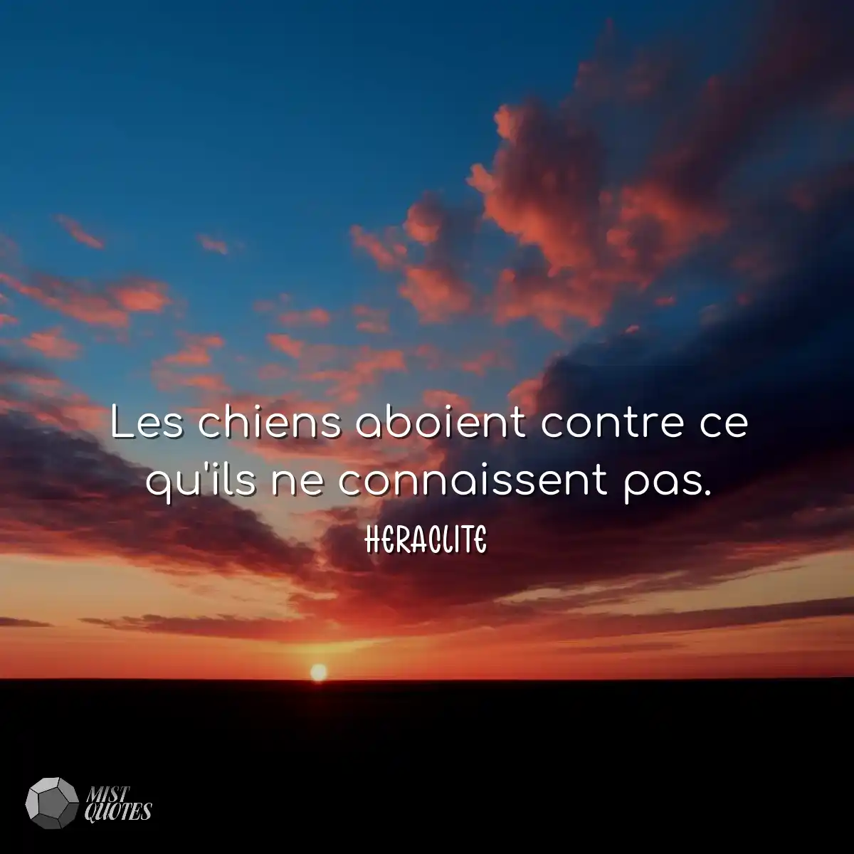 Les chiens aboient contre ce qu'ils ne connaissent