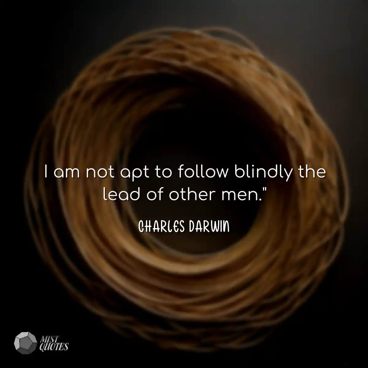 I am not apt to follow blindly the lead 