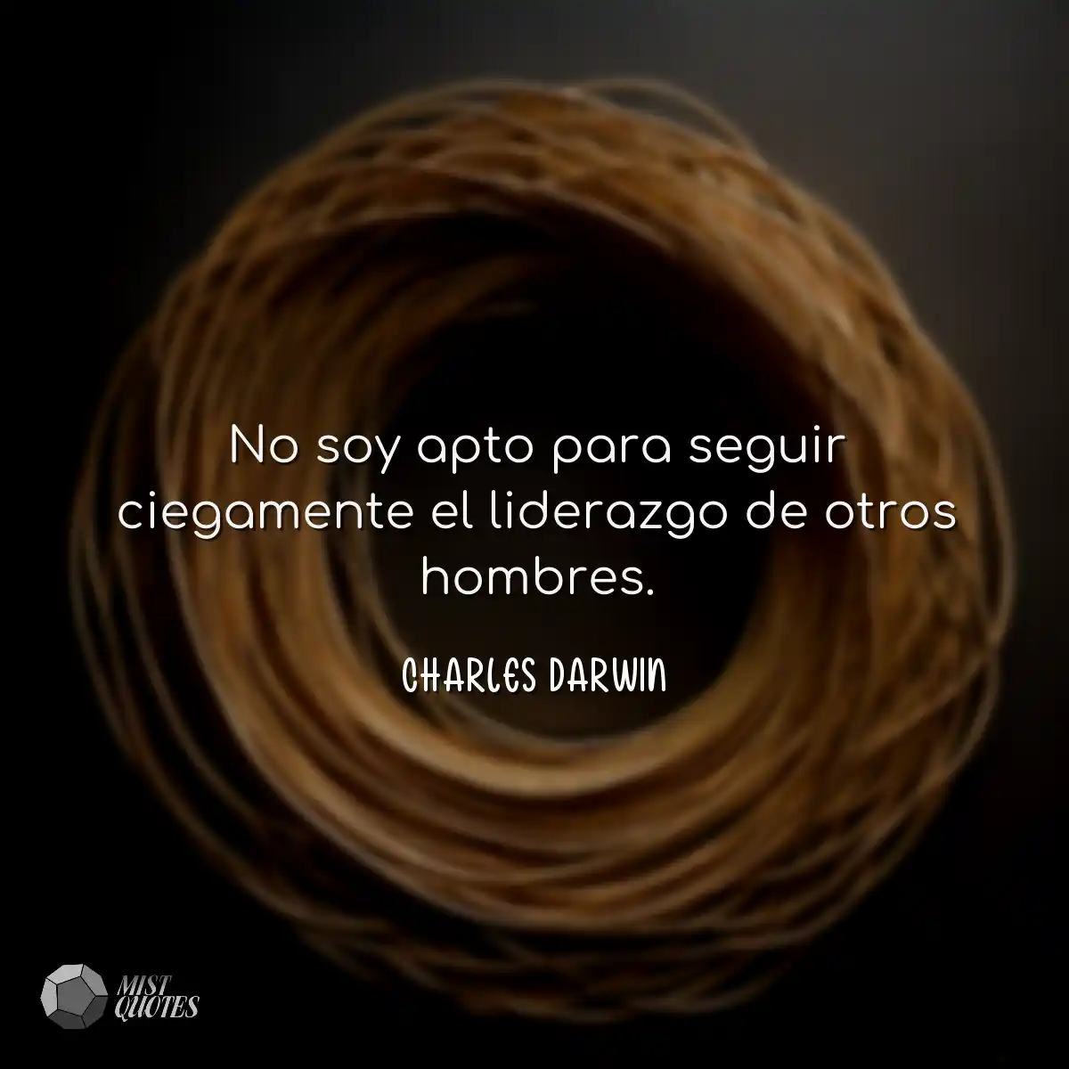 No soy apto para seguir ciegamente el li