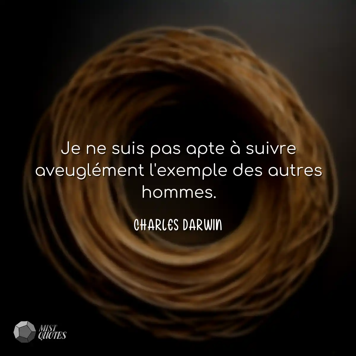 Je ne suis pas apte à suivre aveugléme
