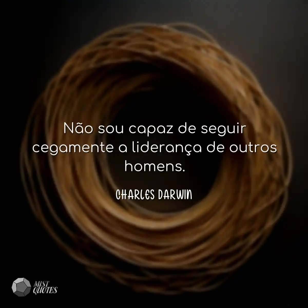 Não sou capaz de seguir cegamente a lid
