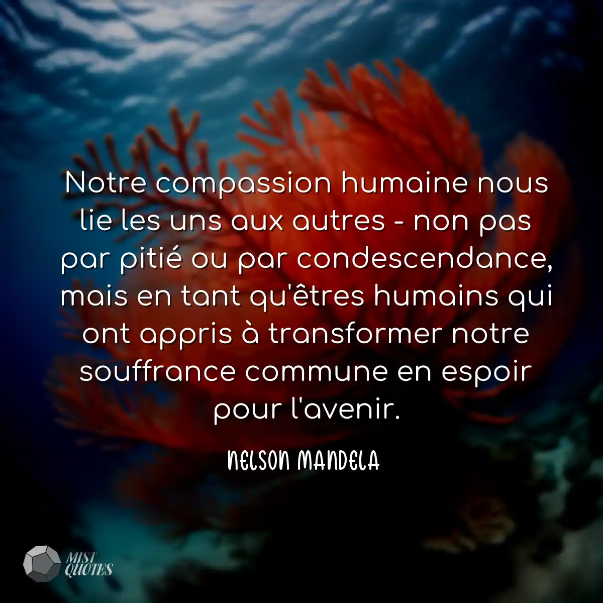 Notre compassion humaine nous lie les uns aux autr