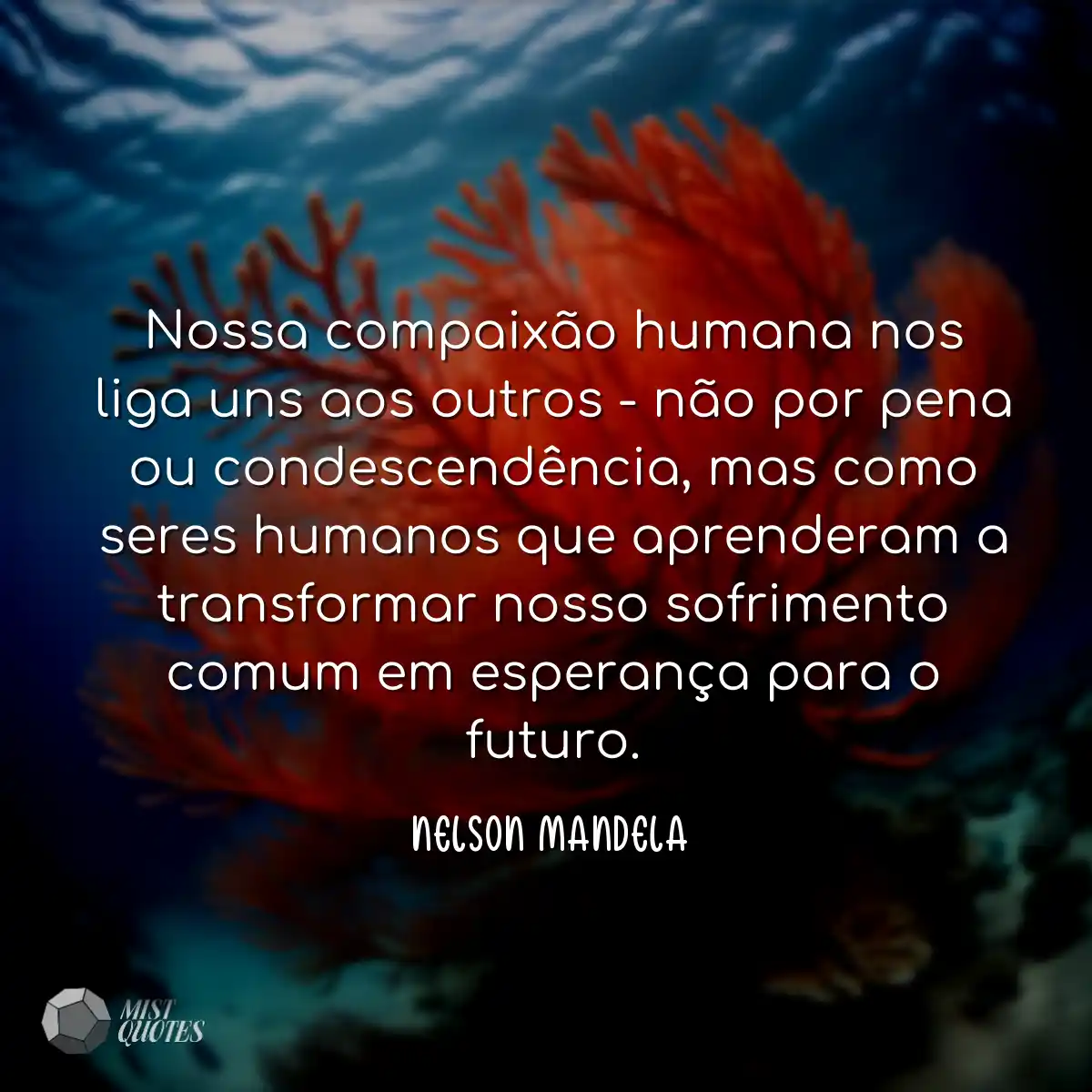 Nossa compaixão humana nos liga uns aos outros - n