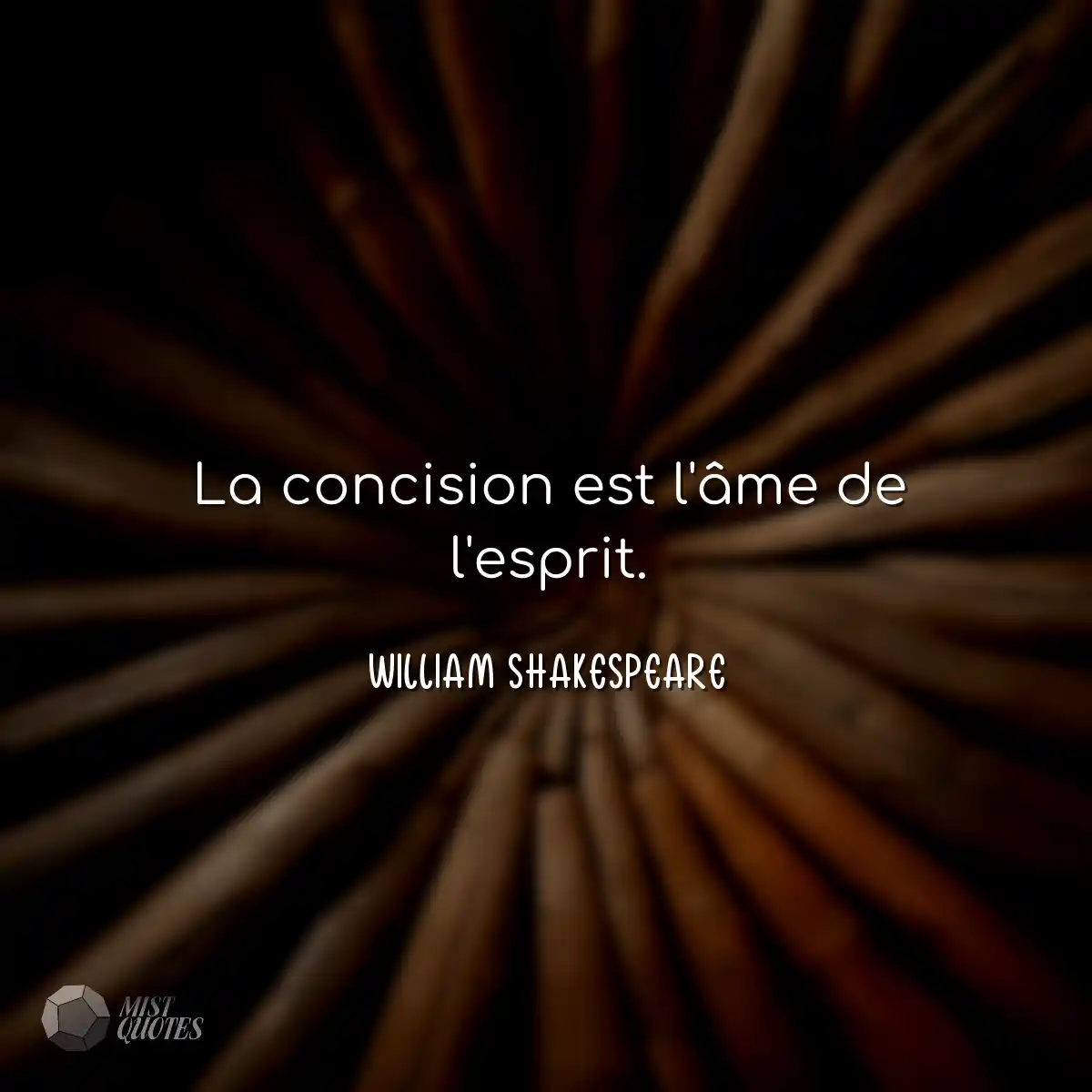 La concision est l'âme de l'esprit.