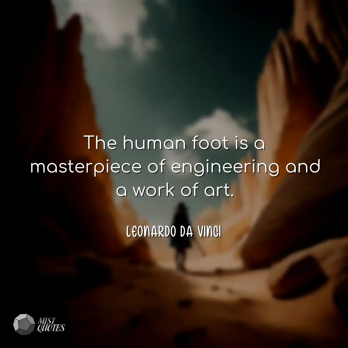 The human foot is a masterpiece of engineering and
